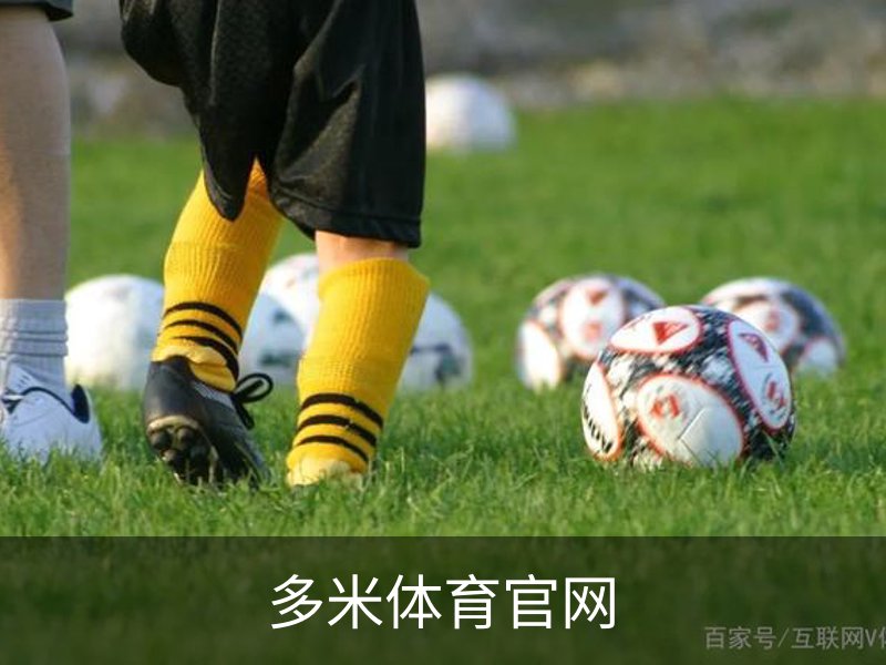 多米体育官网品牌故事